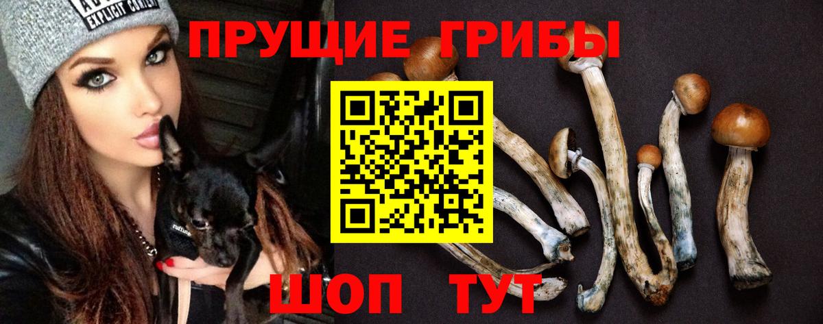 Галлюциногенные грибы ЛСД  Вход с VPN  Зима 